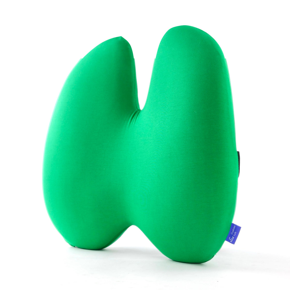 The Ergonomic Lumbar Pillow
