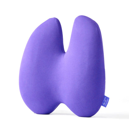 The Ergonomic Lumbar Pillow