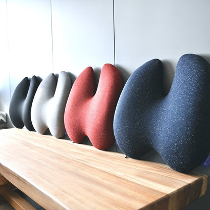The Ergonomic Lumbar Pillow