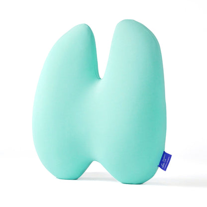 The Ergonomic Lumbar Pillow