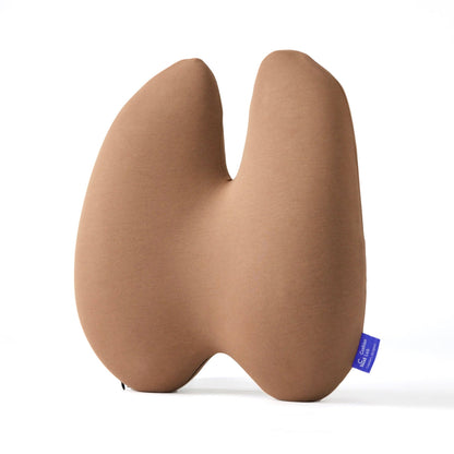 The Ergonomic Lumbar Pillow
