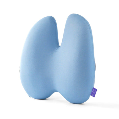 The Ergonomic Lumbar Pillow