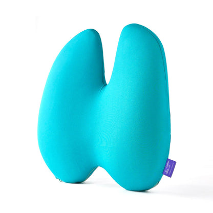 The Ergonomic Lumbar Pillow