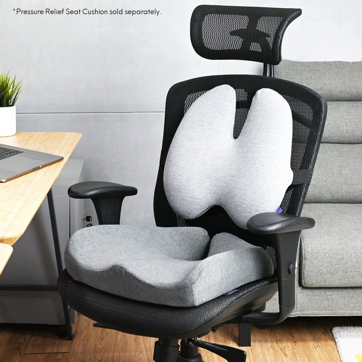 The Ergonomic Lumbar Pillow