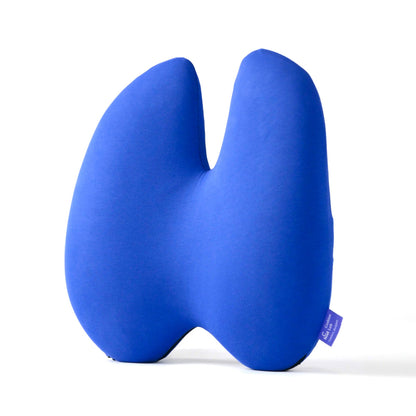 The Ergonomic Lumbar Pillow