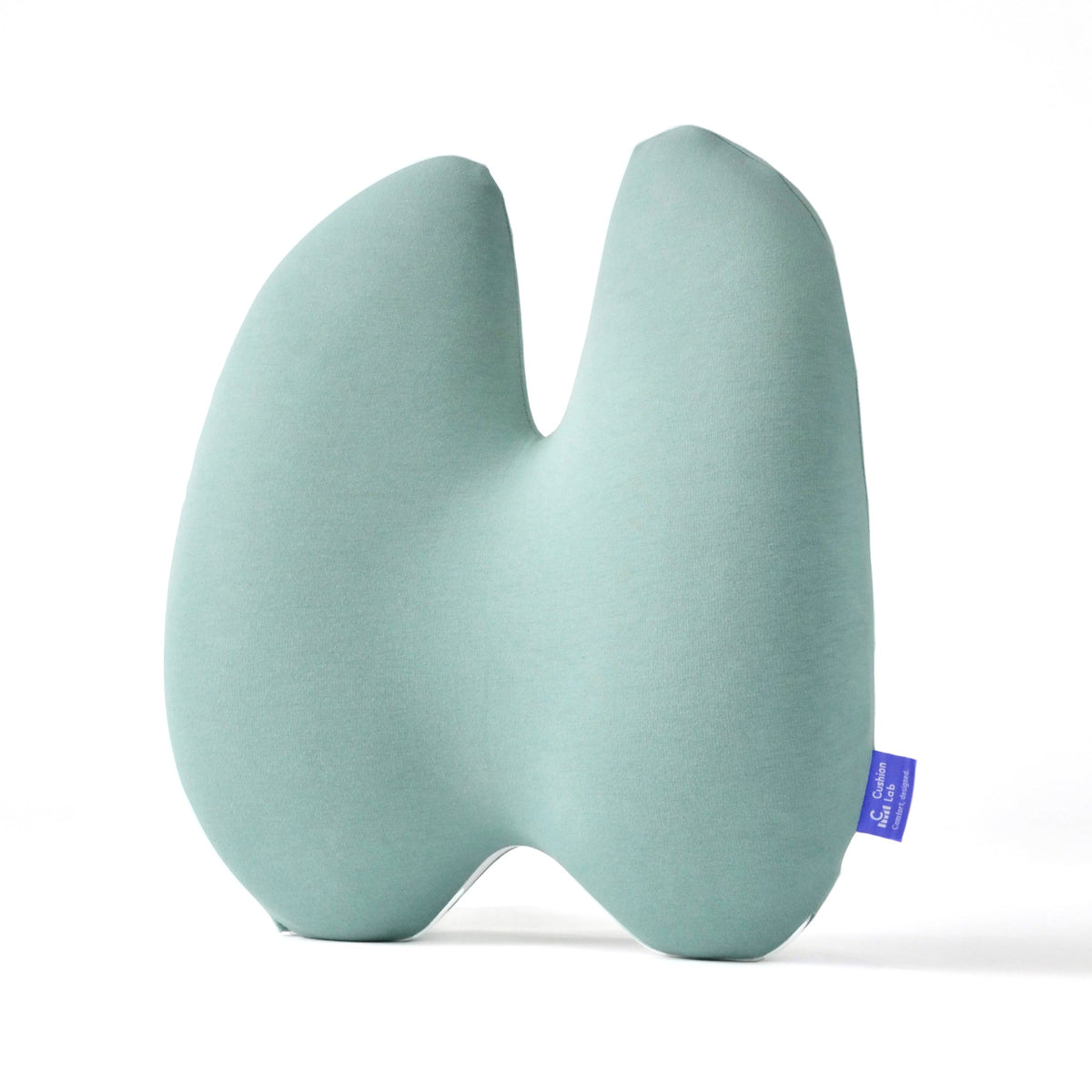 The Ergonomic Lumbar Pillow