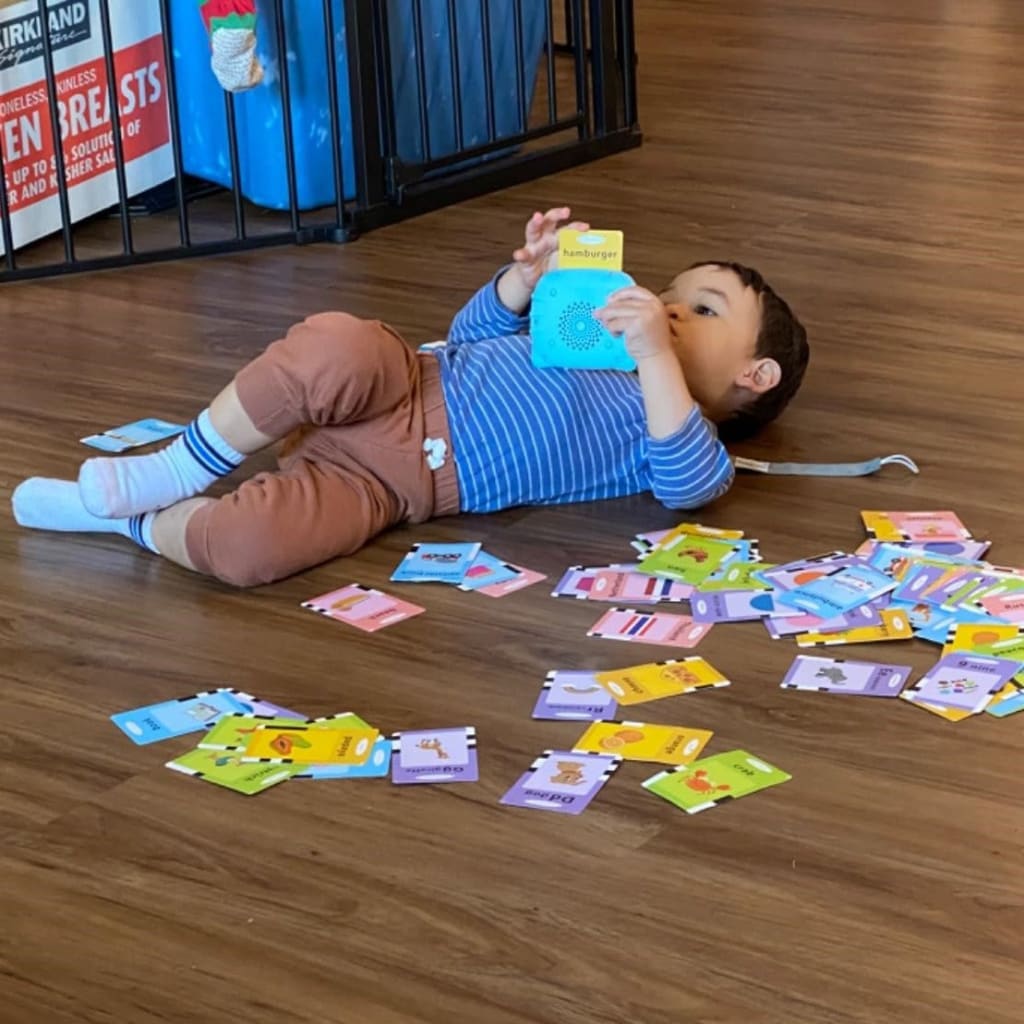Educational Talking Flash Cards