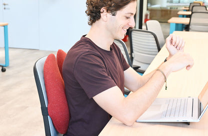 The Ergonomic Lumbar Pillow